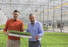 Grupa Krasoń umacnia pozycję lidera produkcji rozsad w Polsce. Stan produkcji w 2026 roku