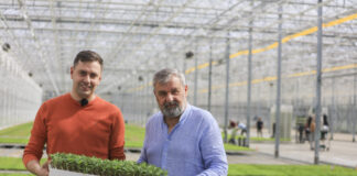 Grupa Krasoń umacnia pozycję lidera produkcji rozsad w Polsce. Stan produkcji w 2026 roku