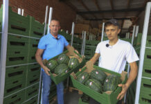 Dlaczego Polska ma potencjał do wzrostu produkcji arbuzów?