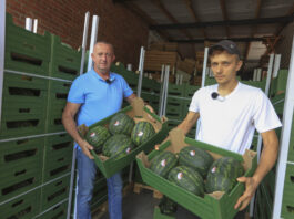 Dlaczego Polska ma potencjał do wzrostu produkcji arbuzów?