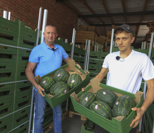 Dlaczego Polska ma potencjał do wzrostu produkcji arbuzów?