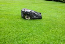 Robot koszący czy klasyczna kosiarka do trawy? Porównanie kosztów i wygody w 2026 roku