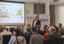 Papryka Polska 2026: rosnący import, brak promocji i zagrożona opłacalność produkcji