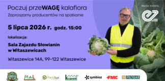 Poczuj przeWAGĘ kalafiora! – spotkanie Enza Zaden Poland
