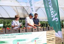Przystanek Papryka w Potworowie – praktyka i technologie w uprawie papryki