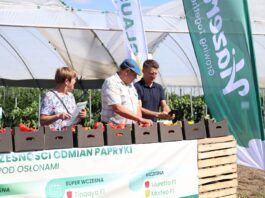 Przystanek Papryka w Potworowie – praktyka i technologie w uprawie papryki