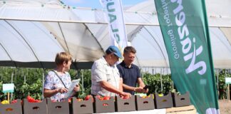 Przystanek Papryka w Potworowie – praktyka i technologie w uprawie papryki