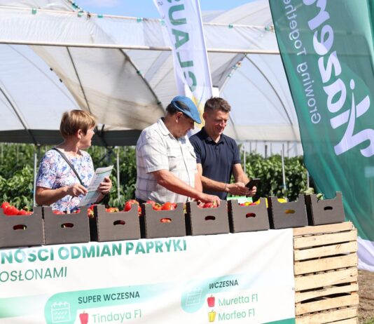 Przystanek Papryka w Potworowie – praktyka i technologie w uprawie papryki