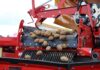Rumunia dopłaci producentom ziemniaków. Do 300 euro na hektar