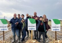 Ogólnopolskie Warsztaty Cebulowe – nowe odmiany i wiele praktycznej wiedzy warsztaty cebulowe syngenta