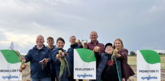 Ogólnopolskie Warsztaty Cebulowe – nowe odmiany i wiele praktycznej wiedzy warsztaty cebulowe syngenta