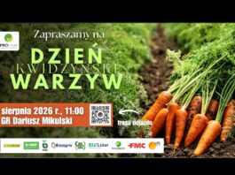 Cebula, marchew, brokuły i kalafiory w praktyce. 28 sierpnia Kwidzyński Dzień Warzyw kwidzyński dzień warzyw