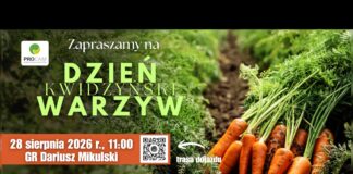 Cebula, marchew, brokuły i kalafiory w praktyce. 28 sierpnia Kwidzyński Dzień Warzyw kwidzyński dzień warzyw