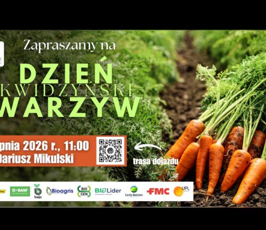 Cebula, marchew, brokuły i kalafiory w praktyce. 28 sierpnia Kwidzyński Dzień Warzyw kwidzyński dzień warzyw