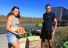 Polskie arbuzy za 5 zł. Natalia i Dawid znaleźli sposób na sprzedaż plonu