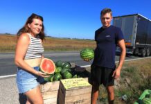 Polskie arbuzy za 5 zł. Natalia i Dawid znaleźli sposób na sprzedaż plonu