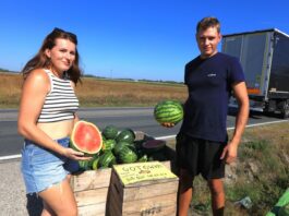 Polskie arbuzy za 5 zł. Natalia i Dawid znaleźli sposób na sprzedaż plonu