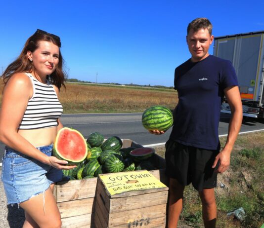 Polskie arbuzy za 5 zł. Natalia i Dawid znaleźli sposób na sprzedaż plonu