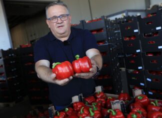Papryka 2026: sezon jeszcze trwa. Paweł Myziak o cenach, jakości i nowych odmianach