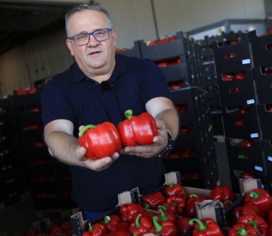 Papryka 2026: sezon jeszcze trwa. Paweł Myziak o cenach, jakości i nowych odmianach