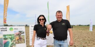 Cebula w trudnym sezonie 2026. Jak prowadzono nawożenie, odchwaszczanie i ochronę plantacji? Justyna i Darek Mikulscy - gospodarze Kwidzyński Dni Warzyw