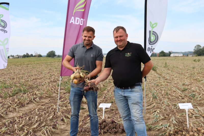 Łukasz Dulęba (Bejo) i Dariusz Mikulski (producent warzyw)