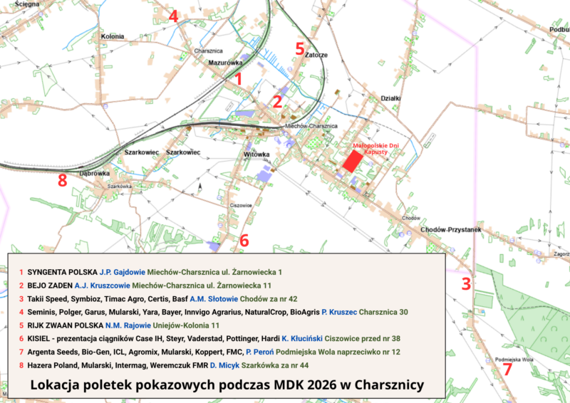Małopolskie Dni Kapusty