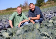 Biologiczna ochrona warzyw w praktyce. Jak sprawdza się w kapuście i marchwi? Damian Micyk (z lewej, producent warzyw) i Rafał Forc (Rovensa Next)