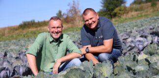 Biologiczna ochrona warzyw w praktyce. Jak sprawdza się w kapuście i marchwi? Damian Micyk (z lewej, producent warzyw) i Rafał Forc (Rovensa Next)