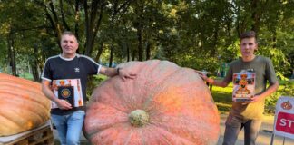 Największa dynia w Polsce waży ponad 900 kilogramów! dynia