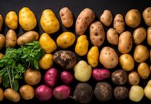 Fruit Attraction 2026 rozpoczęte. 2500 wystawców i ziemniak w centrum uwagi