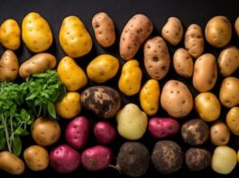 Fruit Attraction 2026 rozpoczęte. 2500 wystawców i ziemniak w centrum uwagi