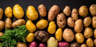 Fruit Attraction 2026 rozpoczęte. 2500 wystawców i ziemniak w centrum uwagi