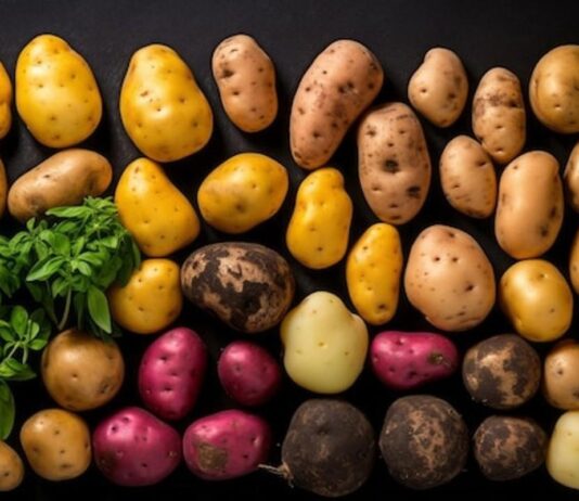Fruit Attraction 2026 rozpoczęte. 2500 wystawców i ziemniak w centrum uwagi